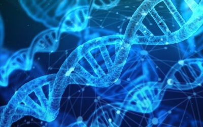 Agenti Cancerogeni e Mutageni
